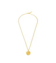 Load image into Gallery viewer, PEAGN0009602_01