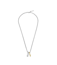 Lade das Bild in den Galerie-Viewer, PEAGN0032702_01