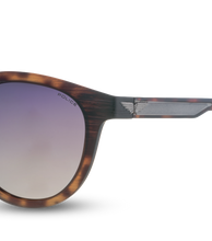 画像をギャラリービューアに読み込む, SPLF16 51Q72P_04