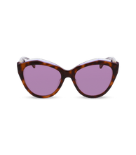 画像をギャラリービューアに読み込む, SPLL35 550993_01