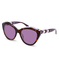 画像をギャラリービューアに読み込む, SPLL35 550993_02