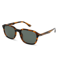 画像をギャラリービューアに読み込む, SPLL81 53836Y_02