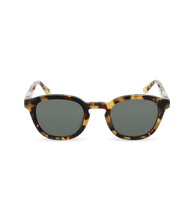 Load image into Gallery viewer, SPLL82 500AGG_01