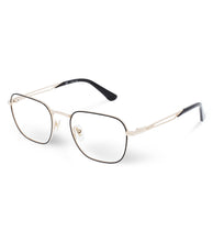 Load image into Gallery viewer, VPLF08 520302_02