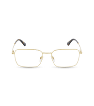 Cargar imagen en el visor de la galería, VPLG69 530300_01