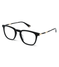 Load image into Gallery viewer, VPLL66 500700_02