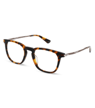 Load image into Gallery viewer, VPLL66 500C10_02