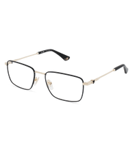 Load image into Gallery viewer, VPLL69 540302_02